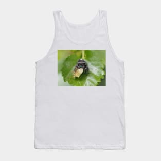 Phidippus audax (bold jumping spider) with prey (stinkbug) Tank Top